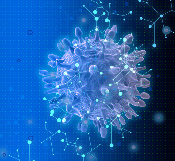 Simulaciones para el desarrollo de fármacos