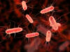 Machine learning para identificar bacterias resistentes una solución de machine learning (aprendizaje automático) capaz de identificar bacterias resistentes a los antibióticos