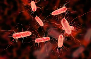 Machine learning para identificar bacterias resistentes una solución de machine learning (aprendizaje automático) capaz de identificar bacterias resistentes a los antibióticos